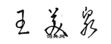 駱恆光王美泉草書個性簽名怎么寫