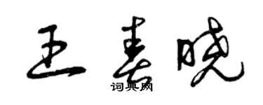 曾慶福王春曉草書個性簽名怎么寫