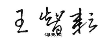 駱恆光王智耘草書個性簽名怎么寫