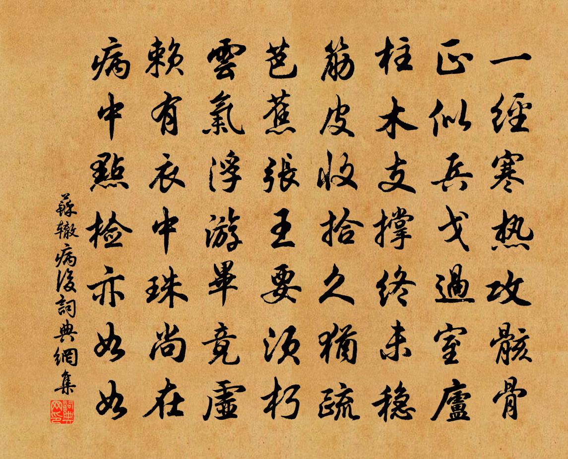 蘇轍病後書法作品欣賞