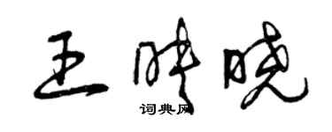 曾慶福王映曉草書個性簽名怎么寫