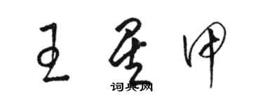 駱恆光王星甲草書個性簽名怎么寫