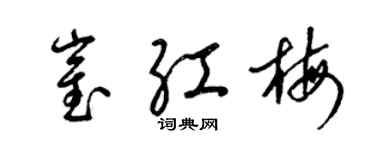 梁錦英崔紅梅草書個性簽名怎么寫