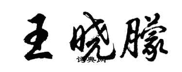胡問遂王曉朦行書個性簽名怎么寫