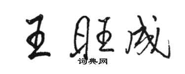 駱恆光王旺成行書個性簽名怎么寫