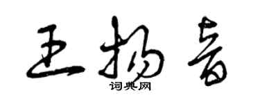 曾慶福王揚音草書個性簽名怎么寫