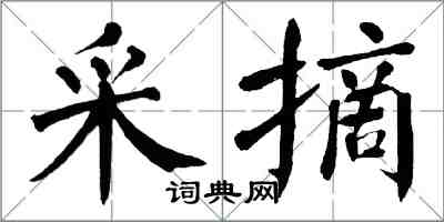 翁闓運採摘楷書怎么寫