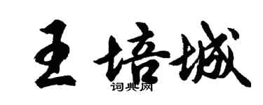 胡問遂王培城行書個性簽名怎么寫