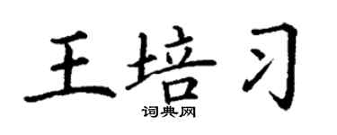 丁謙王培習楷書個性簽名怎么寫