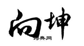 胡問遂向坤行書個性簽名怎么寫