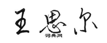 駱恆光王思爾行書個性簽名怎么寫