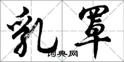 胡問遂乳罩行書怎么寫