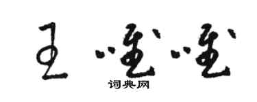 駱恆光王唯唯草書個性簽名怎么寫