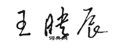 駱恆光王映辰草書個性簽名怎么寫