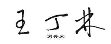 駱恆光王丁林草書個性簽名怎么寫