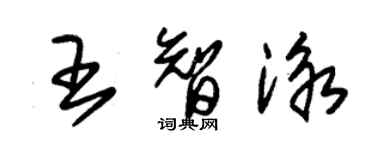 朱錫榮王智泳草書個性簽名怎么寫