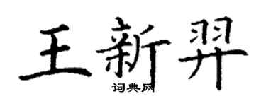 丁謙王新羿楷書個性簽名怎么寫
