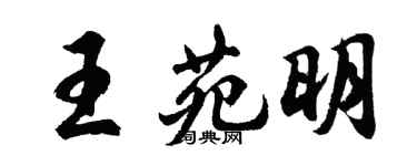 胡問遂王苑明行書個性簽名怎么寫