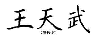 丁謙王天武楷書個性簽名怎么寫