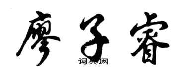 胡問遂廖子睿行書個性簽名怎么寫