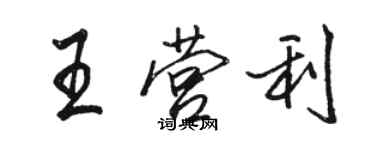 駱恆光王營利行書個性簽名怎么寫