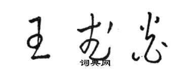 駱恆光王武炎草書個性簽名怎么寫