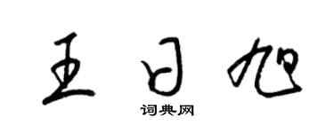 梁錦英王日旭草書個性簽名怎么寫