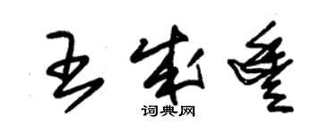 朱錫榮王成豐草書個性簽名怎么寫