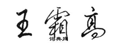 駱恆光王霜高行書個性簽名怎么寫