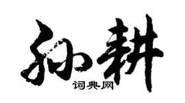 胡問遂孫耕行書個性簽名怎么寫