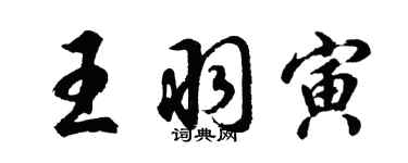 胡問遂王羽寅行書個性簽名怎么寫