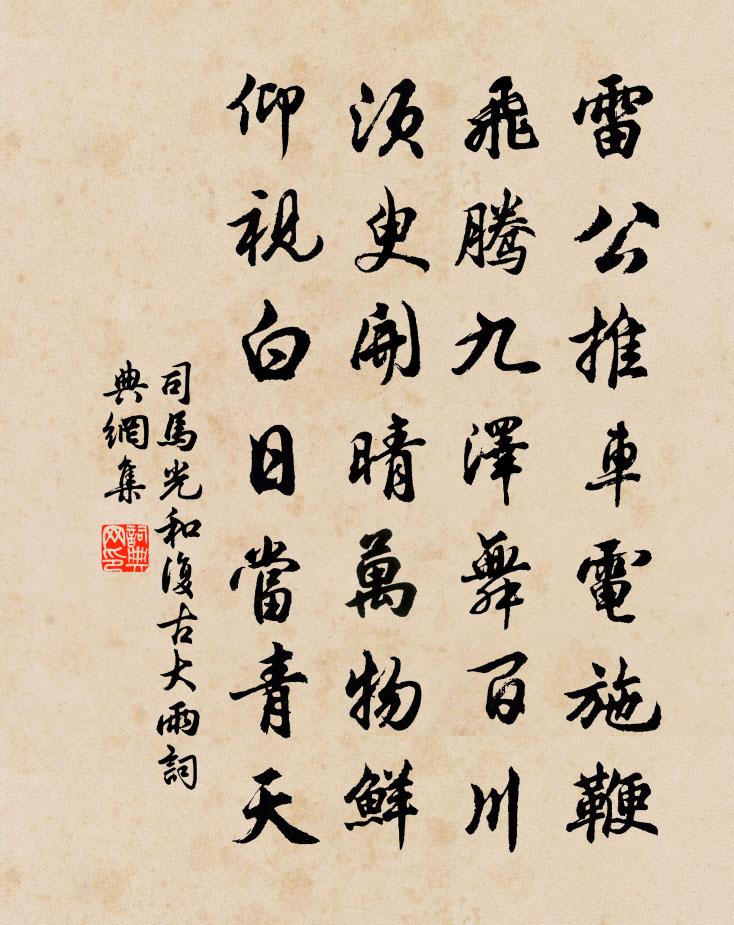 司馬光和復古大雨書法作品欣賞