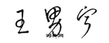 駱恆光王男寧草書個性簽名怎么寫