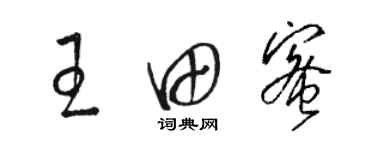 駱恆光王田蜜草書個性簽名怎么寫