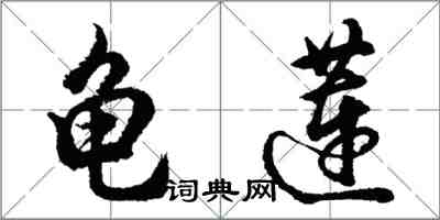 胡問遂龜蓮行書怎么寫