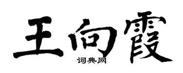 翁闓運王向霞楷書個性簽名怎么寫