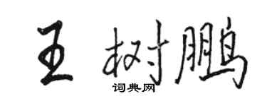 駱恆光王樹鵬行書個性簽名怎么寫