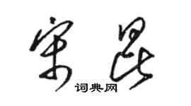 駱恆光宋昆草書個性簽名怎么寫