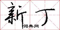 新翻的意思_新翻的解釋_國語詞典