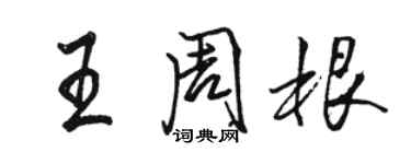 駱恆光王周根行書個性簽名怎么寫