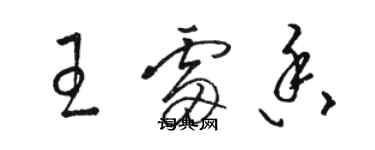 駱恆光王雷香草書個性簽名怎么寫