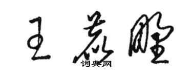 駱恆光王鹿野草書個性簽名怎么寫