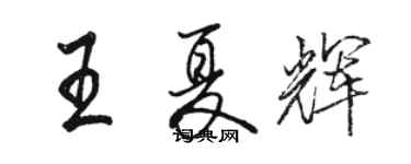 駱恆光王夏輝行書個性簽名怎么寫