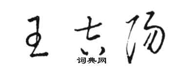 駱恆光王吉陽草書個性簽名怎么寫