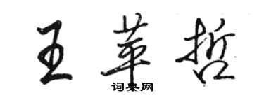 駱恆光王苹哲行書個性簽名怎么寫