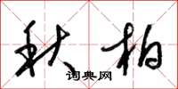 梁錦英秋柏草書怎么寫
