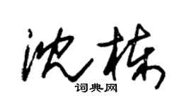 朱錫榮沈棟草書個性簽名怎么寫