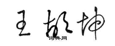 駱恆光王胡坤草書個性簽名怎么寫