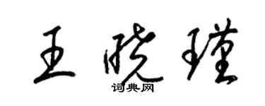 梁錦英王曉瑾草書個性簽名怎么寫