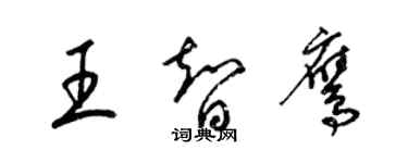 梁錦英王智鷹草書個性簽名怎么寫
